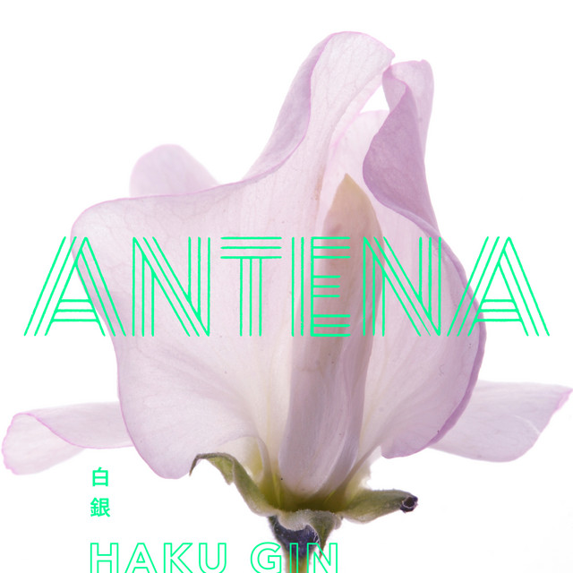 ANTENA 白銀